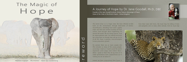 The Magic of Hope book