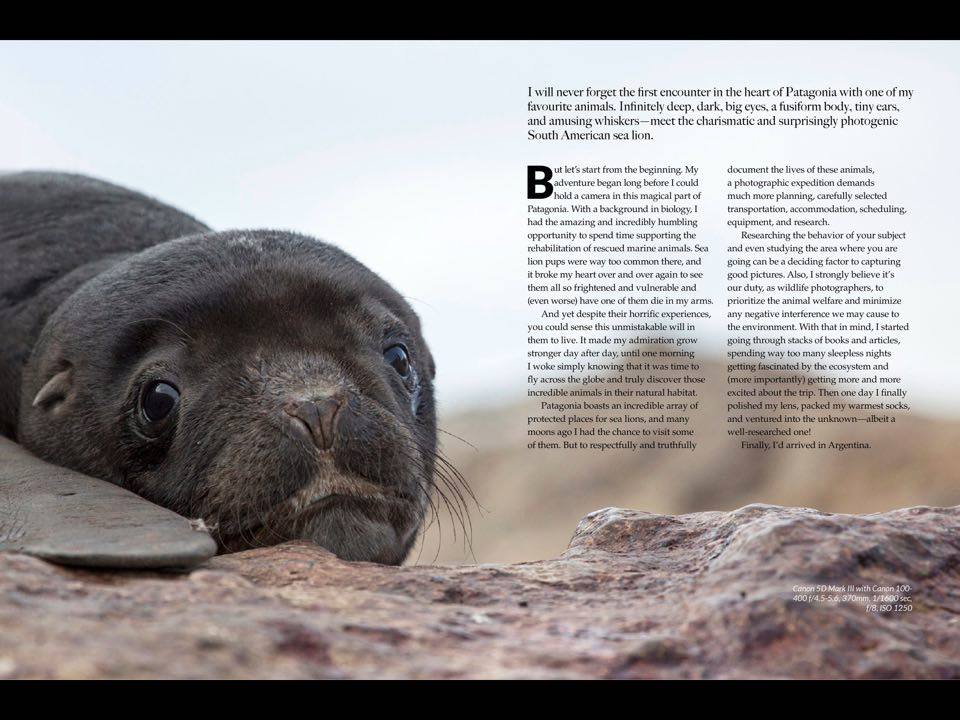 Dea published article