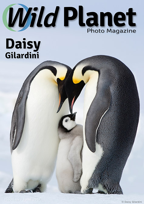 June-2017-Cover-WPM-IG