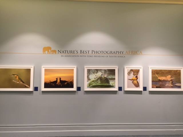 Pia Dierickx winning pictures