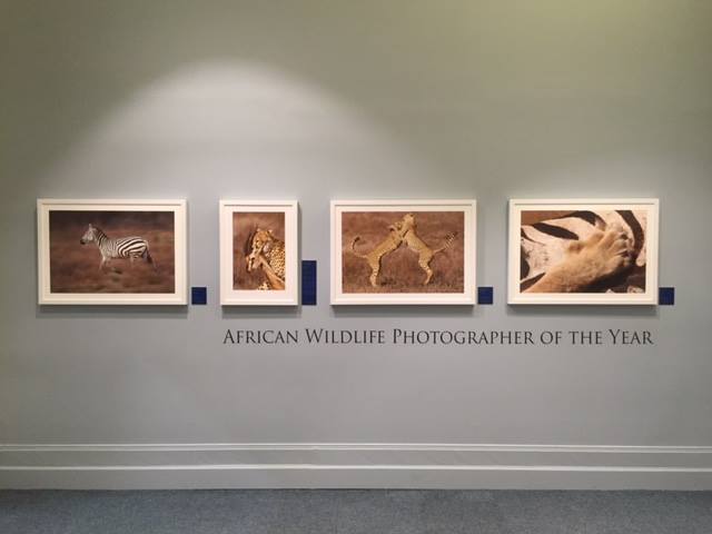 Pia Dierickx winning pictures