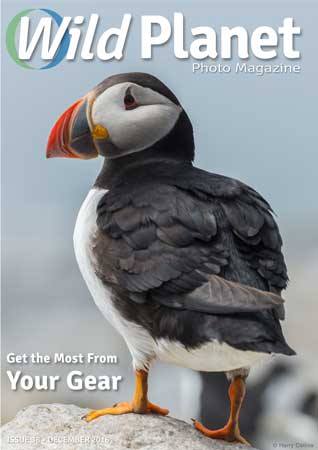 Wild Planet Photo Magazine December 2016 cover