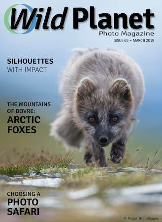 Wild Planet Photo Magazine March-Cover-Web