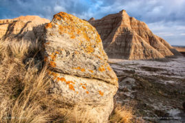 Gabby_Salazar_FNP_7205-