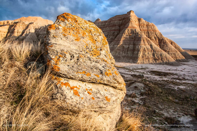 Gabby_Salazar_FNP_7205-