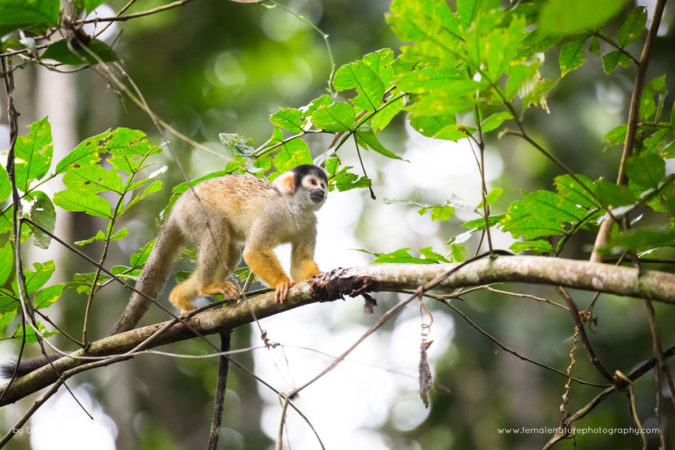 Danielle_Connor_FNP_2