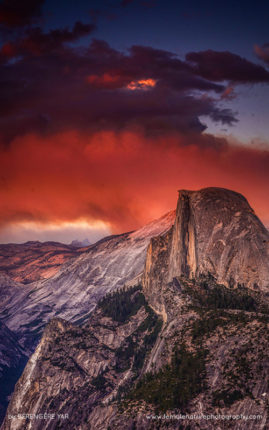 Berengere_Yar_FNP_12