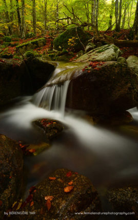 Berengere_Yar_FNP_14