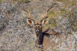 Cathy_WithersClarke_FNP_2