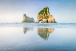 Crystal_Brindle_FNP_1