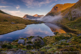 Crystal_Brindle_FNP_10