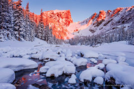 Crystal_Brindle_FNP_3