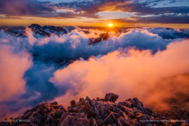 Crystal_Brindle_FNP_4