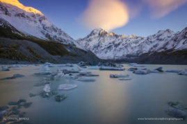 Crystal_Brindle_FNP_8