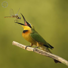 Portfolio carousel 28