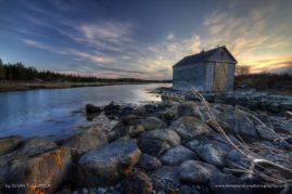 Susan_Cullumber_FNP_11