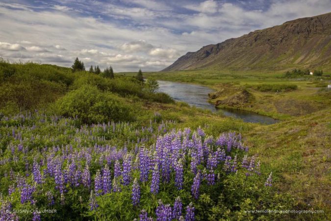 Susan_Cullumber_FNP_7