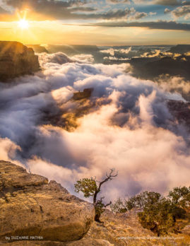 Suzanne_Mathia_FNP_11