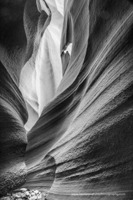 Suzanne_Mathia_FNP_13