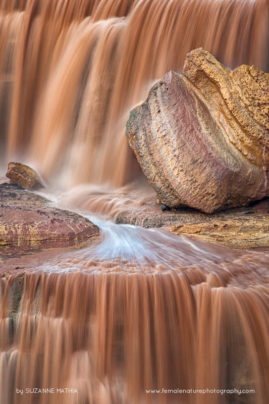 Suzanne_Mathia_FNP_14