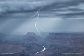 Suzanne_Mathia_FNP_3