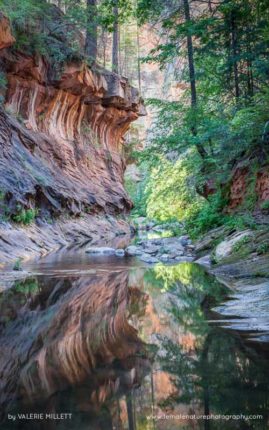 Valerie_Millett_FNP_11