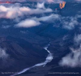 Valerie_Millett_FNP_12