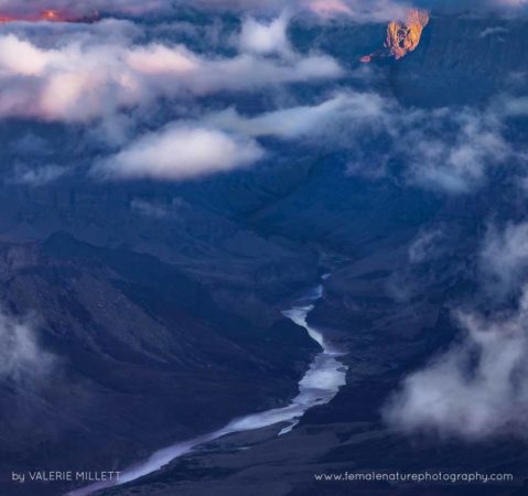 Valerie_Millett_FNP_12