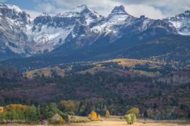 Valerie_Millett_FNP_7