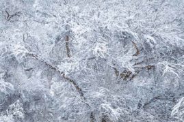 Valerie_Millett_FNP_9