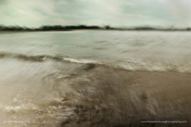 Andrea_Gulickx_FNP_1