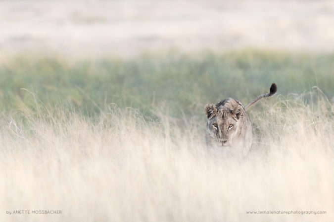 Anette_Mossbacher_FNP_1