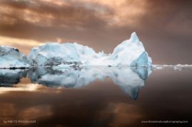 Anette_Mossbacher_FNP_11