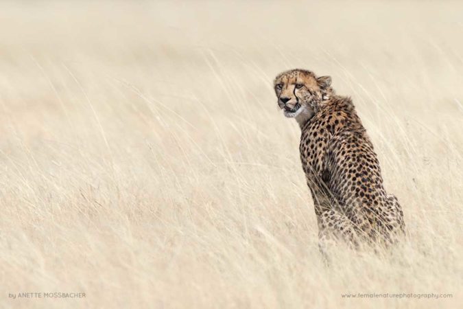 Anette_Mossbacher_FNP_13