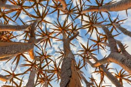 Anette_Mossbacher_FNP_5