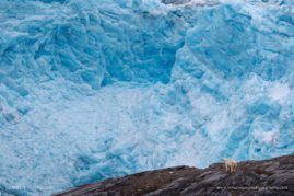 Anette_Mossbacher_FNP_7