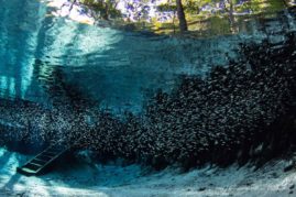 Jennifer_Adler_FNP_10