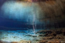 Jennifer_Adler_FNP_11