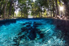 Jennifer_Adler_FNP_4