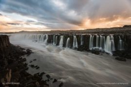 Jennifer_Adler_FNP_8