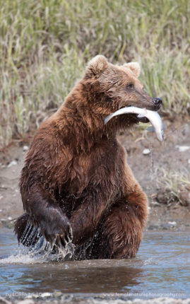 Lorraine_Logan_FNP_14