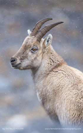 Nathalie_Houdin_FNP_15