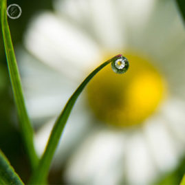 Portfolio carousel 37