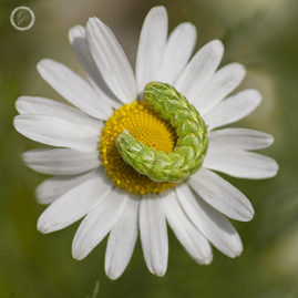 Portfolio carousel 39