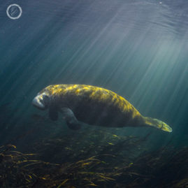 Portfolio carousel 42