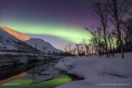 Severine_Greyo_FNP_5