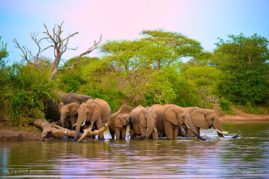 Shannon_Benson_FNP_11