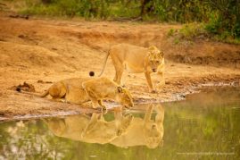 Shannon_Benson_FNP_5