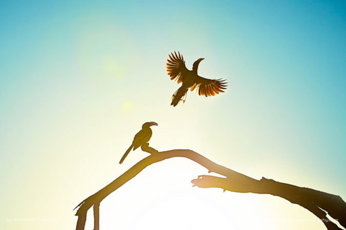 Shannon_Benson_FNP_8