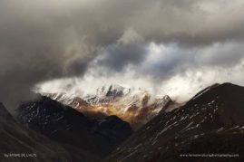 Ambre_de_L'AlPe_FNP_7